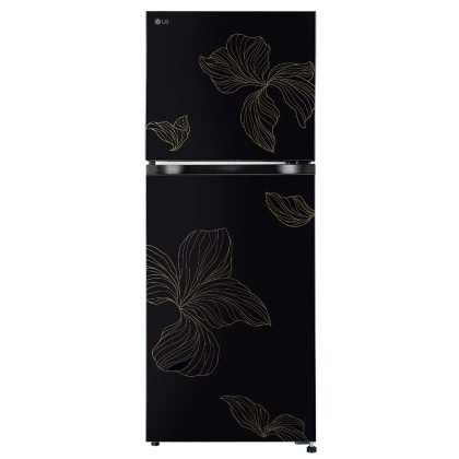 LG GLM250BROI.AROQ 238 Liter Double Door Refrigerator